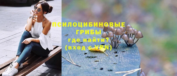 ALPHA PVP Надым